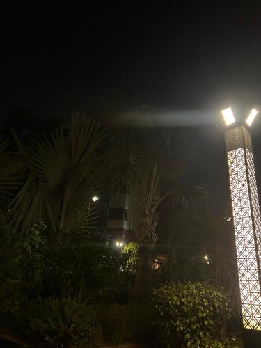 Κήπος έξω από το Vrindham By Ammy