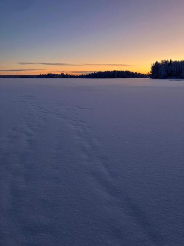 Arctic Bear Resort - Lapland - Aurora suite - Sauna - Northern Lights