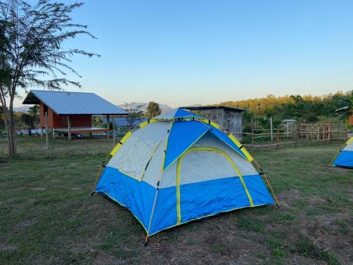 บ่อแก้วโฮมสเตย์的田野里有一顶蓝色和黄色的帐篷
