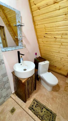 a bathroom with a sink and a toilet at Old farm 1 in Ijevan