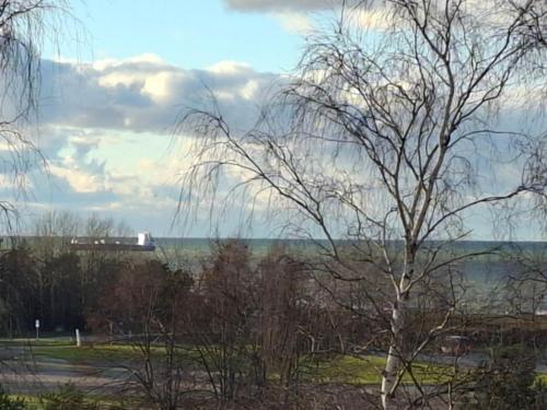 a tree in a field with a train in the distance at Baltic sea view in Liepāja