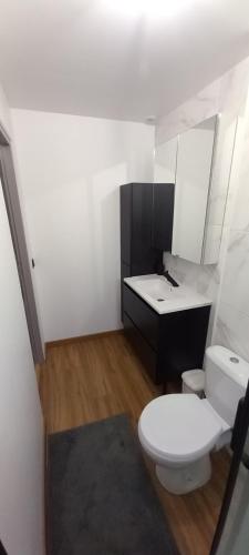 Jonage House في Jonage: حمام به مرحاض أبيض وحوض غسيل