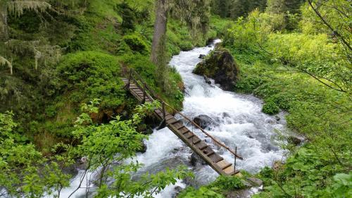 a bridge over a river in a forest at Appartementhaus Kaltenbach-Stumm by PiaundDirk in Stumm