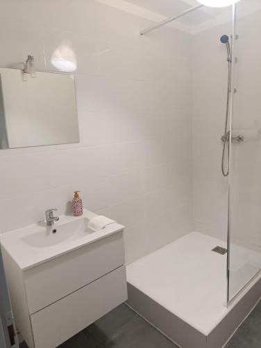 a white bathroom with a sink and a shower at Appartement Cosy du château in Sedan