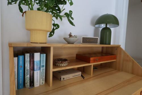 Una estantería con una planta en maceta y una lámpara. en MISI domek, en Kadłubówka