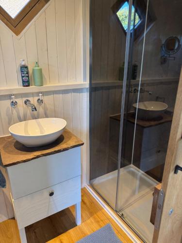 a bathroom with a glass shower and a sink at The Shepherds Rest in East Dean