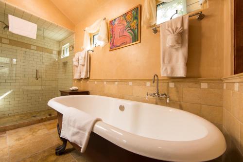 Ένα μπάνιο στο The Emerald Iguana Inn