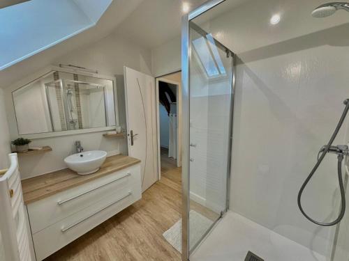une salle de bain avec une douche en verre et un lavabo dans l'établissement Maison de vacances Le Raboliot proche de Chambord, à Montlivault