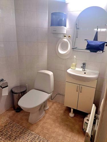 ein Badezimmer mit Toilette und Waschbecken in der Unterkunft Hopeaniitty in Huittinen