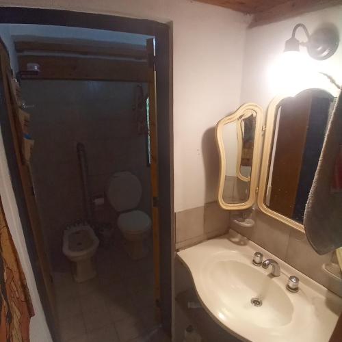 a bathroom with a sink and a toilet at El ceibo in Agua de Oro
