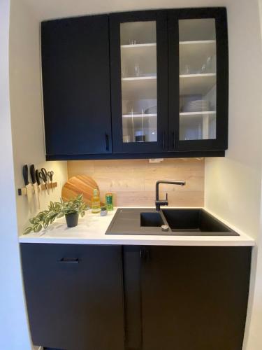 Η κουζίνα ή μικρή κουζίνα στο Art Nouveau in the middle of downtown Ålesund