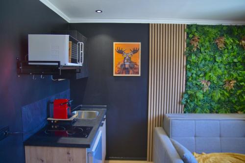 Η κουζίνα ή μικρή κουζίνα στο Le Cube Alpin - Cosy Studio - Vue Montagne - Gréolières les Neiges