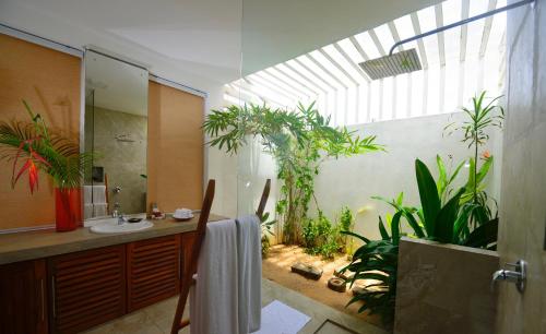 迪克韦勒Soul Wellness and Ayurveda Resort-All Meals and Treatments Included的一间带水槽和植物的浴室