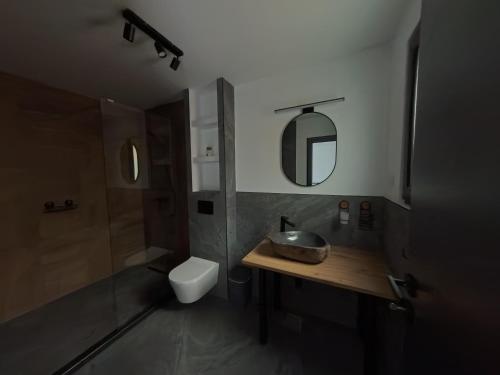 ein Badezimmer mit Waschbecken, Toilette und Spiegel in der Unterkunft Kolibe Doftana in Trăisteni