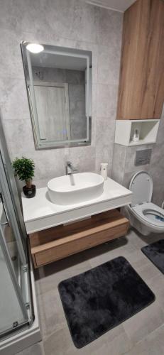 a bathroom with a sink and a toilet and a mirror at Apartman La Campanella 2 in Vrnjci