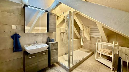 un bagno con lavandino e doccia di Kungs Ferienwohnung 2 a Cottbus