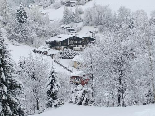 Bergvilla Vivaldi - Happy Mountain Vibes