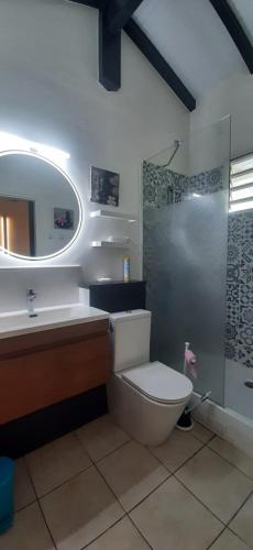 a bathroom with a toilet and a sink and a shower at Beau duplex T3 avec une superbe vue mer in Le Diamant