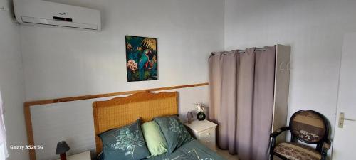 a bedroom with a bed and a chair and a picture at Villa Hibiscus in Sainte-Anne