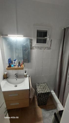 a bathroom with a sink and a window and a shower at Villa Hibiscus in Sainte-Anne