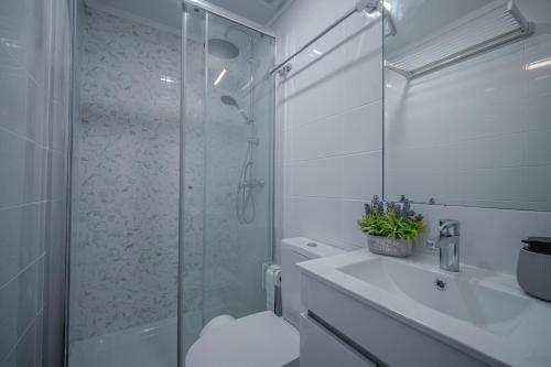 Perfect studio in Lisbon