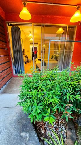 a house with a bunch of plants in a yard at kodus hotel boutique in Pattaya South