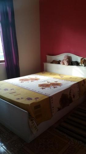 Beautiful 3 bedrooms house close to Airport