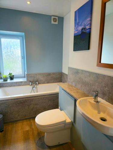 a bathroom with a toilet and a sink and a tub at The Wigtown Ploughman in Wigtown