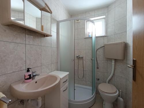 ŠišavaにあるPlaninska Draga Vlašićのシャワー、洗面台、トイレ付きのバスルーム