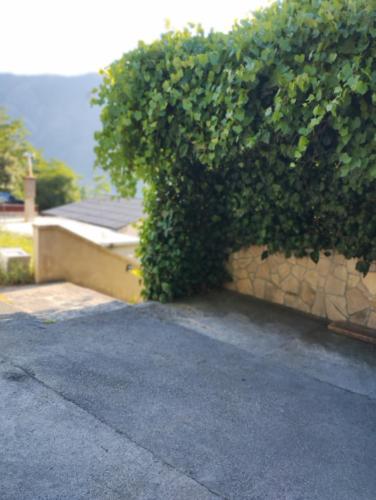 Φυσικό τοπίο κοντά σε αυτό το διαμέρισμα