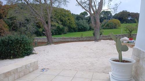 Κήπος έξω από το Trulli Donna Grazia