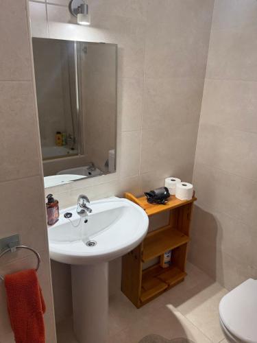 a bathroom with a sink and a mirror and a toilet at Ático luminoso en Felechosa in Felechosa