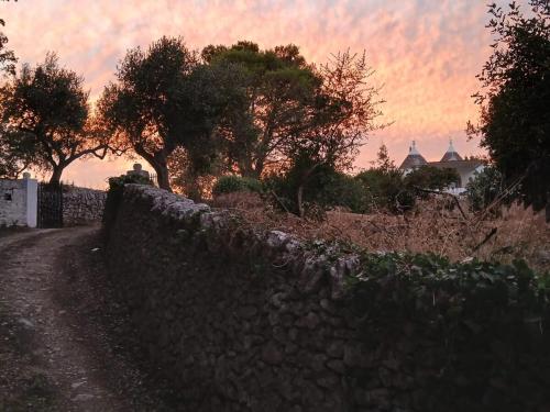 Φωτογραφία από το άλμπουμ του Trulli Donna Grazia στη Μαρτίνα Φράνκα