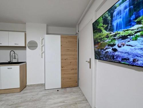 赛斯韦泰Sesvete Studio w Garden View的厨房墙上挂着一幅大画