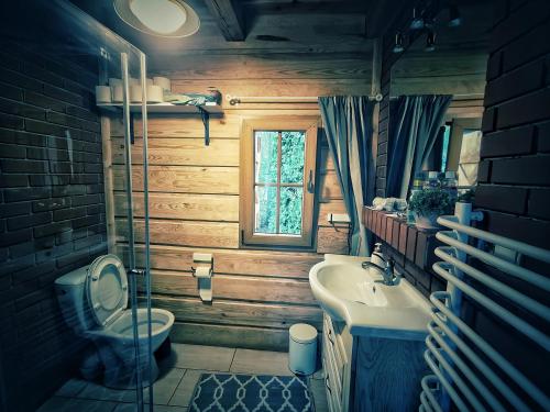 een badkamer met toilet en wastafel bij Nowy Gaj in Wilczyn