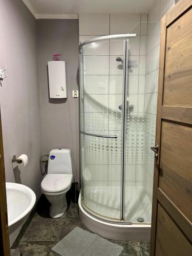 a bathroom with a shower and a toilet and a sink at Spacious one bedroom Ausekļa apartment in Liepāja