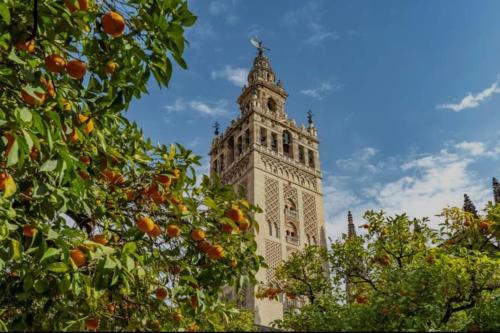 De sevillanas maneras