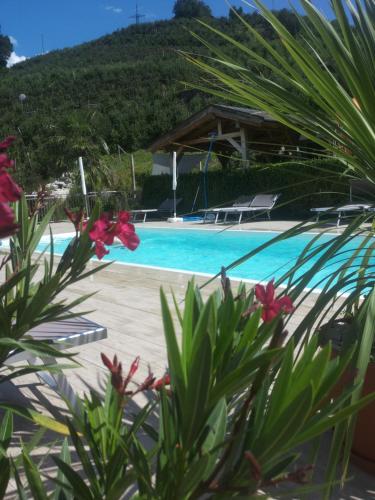The swimming pool at or close to Ferienwohnungen Niederhof