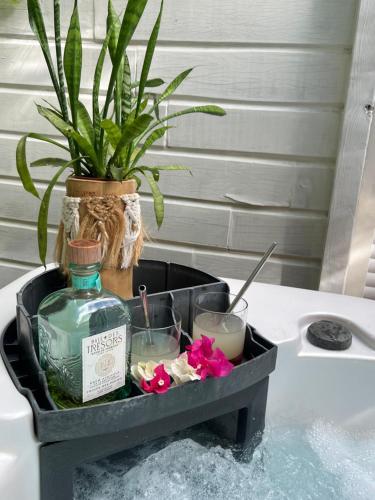 a tray with a bottle of whiskey and a plant at Bwa Kanel - Logement moderne avec SPA- Venez profiter d'une parenthèse de bien-être ! in Ducos