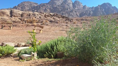 Příroda nedaleko kempu