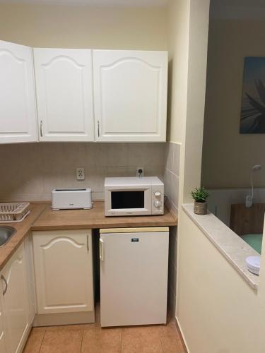 Kuchyň nebo kuchyňský kout v ubytování Hévíz Tavirózsa Apartman