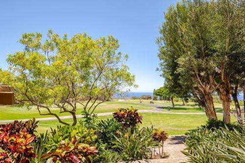 Billede fra billedgalleriet på Honua Studio i Waikoloa Village