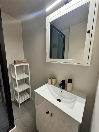 a bathroom with a white sink and a mirror at Studio in Wenduine with frontal sea view in Mellet
