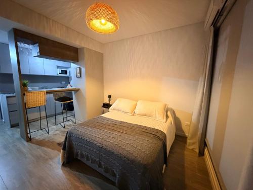 Η κουζίνα ή μικρή κουζίνα στο Studio 16 Neuquén