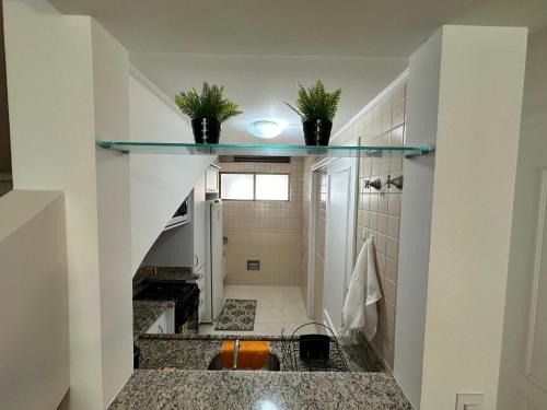 Duplex Por do Sol a Beira Mar في فلوريانوبوليس: حمام مع حوض ونباتان على رف