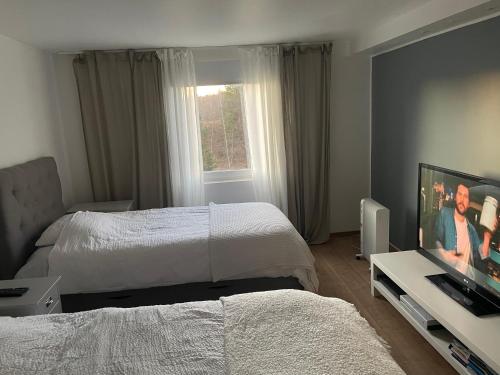 Μια τηλεόραση ή/και κέντρο ψυχαγωγίας στο Fritidshus i naturreservat