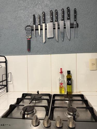 Η κουζίνα ή μικρή κουζίνα στο Casa Morroken Ixtapa con Alberca