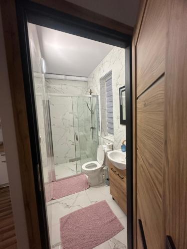 a bathroom with a shower and a toilet and a sink at Świecie Apartament Biznesowy in Świecie