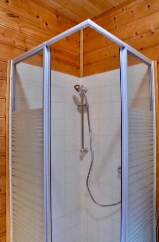 a shower with a glass enclosure in a bathroom at Ferienhaus Wagner in Bad Ischl