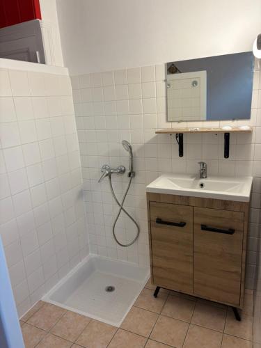 a bathroom with a shower and a sink and a mirror at Chez antho chambres et table d hôtes in Betton-Bettonet